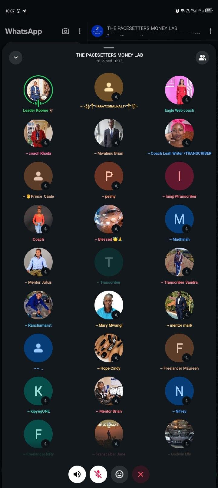 WhatsApp group call showing members of The Pacesetters Money Lab